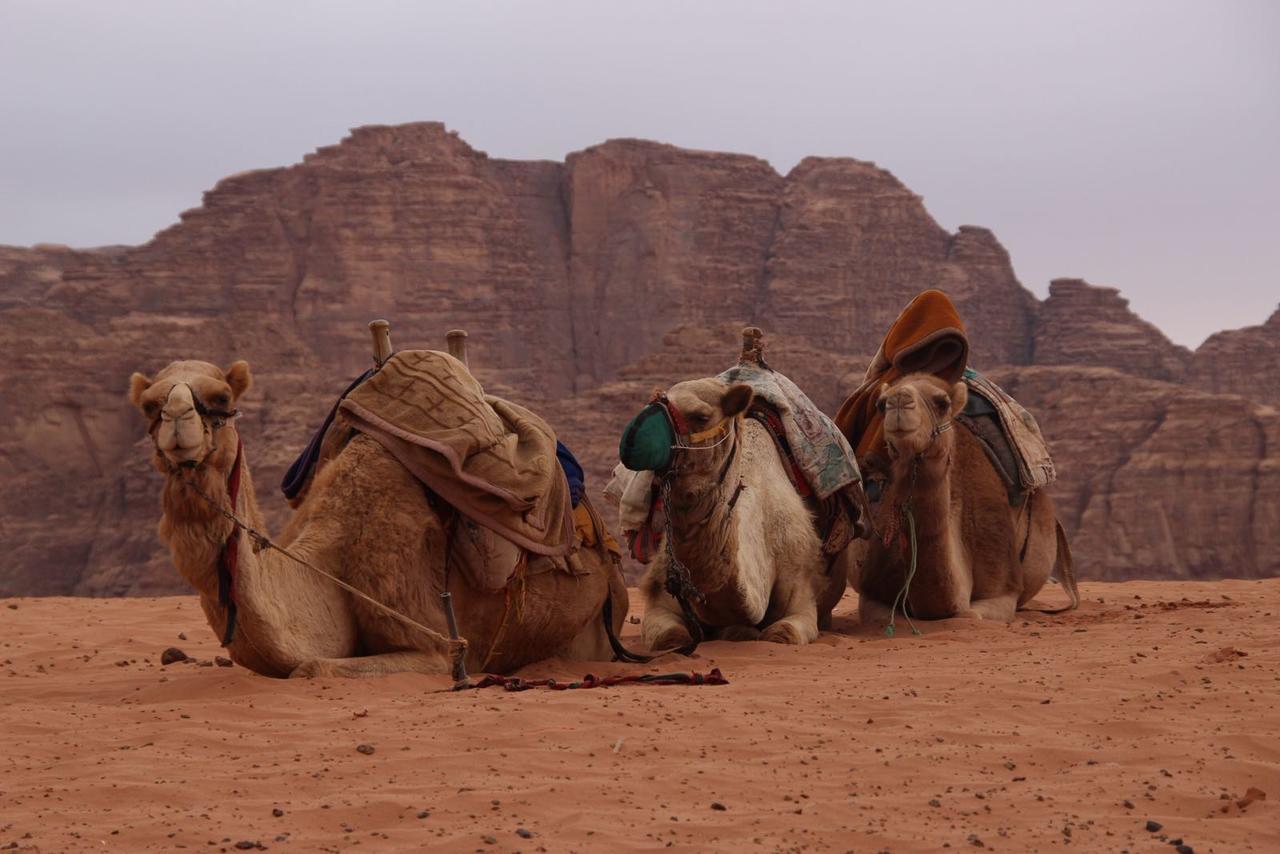 Wadi Rum Desert Secret Camp Εξωτερικό φωτογραφία