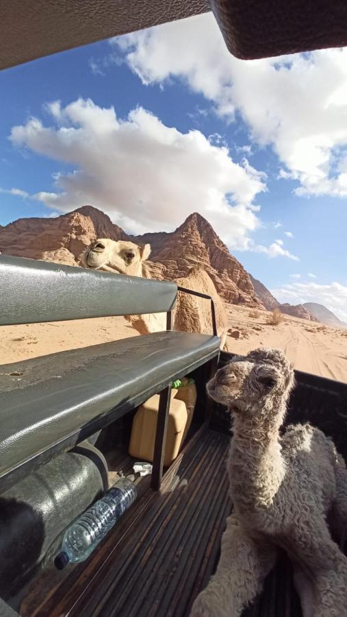 Wadi Rum Desert Secret Camp Εξωτερικό φωτογραφία